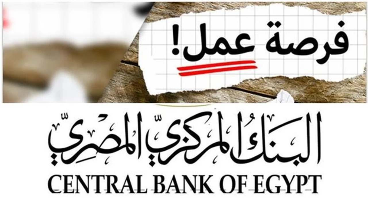 وظيفة شاغرة.. البنك المركزي يحدد المؤهلات وطريقة التقديم